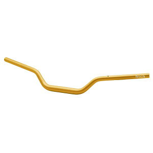 y[J[݌ɂz GtFbNX EFFEX C[W[tBbgo[ 22N GSX-S1000GT S[h EBTF550G JPX