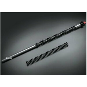 eNjNX Technix TASC-JP tgtH[NJ[gbWLbg 21N-22N CBR250RR TASCJPMC51-1 JPX