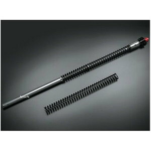 eNjNX Technix TASC-JP tgtH[NJ[gbWLbg 17N-20N CBR250RR TASCJPMC51 JPX