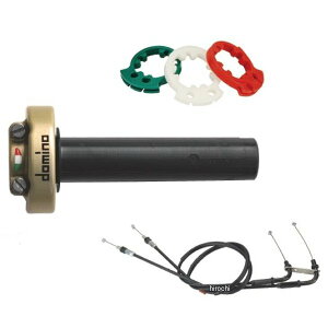 �h�~�m domino �X���b�g���L�b�g �I�����[�h 15�N-19�N YZF-R1 �S�[���h 5434.96G JP�X