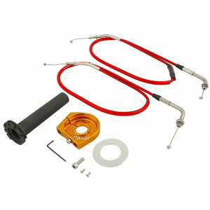 |bV POSH X[XSCnCX RD/GD Z900RS 132567-GD-02 JPX