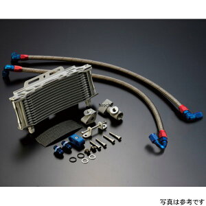 ACTIVE �A�N�e�B�u �I�C���N�[���[�L�b�g �����/���E���h #8 9-13R Z1�AZ2�AZ750FX-1�AZ1000MK2 �V���o�[ AC14047113 JP�X