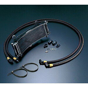 ACTIVE ANeBu ICN[[Lbg T[Ή TCh/Eh#6 11-13R [t@[1100A[t@[1100RS ubNdl AC14048413BC JPX