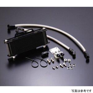 ACTIVE �A�N�e�B�u �I�C���N�[���[�L�b�g �T�[���Ή� �T�C�h��/�X�g���[�g #8 9-10R Z1000R�AZ1000J �u���b�N�d�l AC14057310BC JP�X