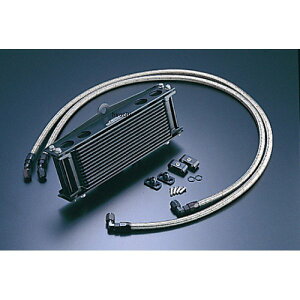 ACTIVE �A�N�e�B�u �I�C���N�[���[�L�b�g �T�[���Ή� �T�C�h��/�X�g���[�g #6 9-10R �[�t�@�[750�AZR-7 �u���b�N�d�l AC14077810BC JP�X