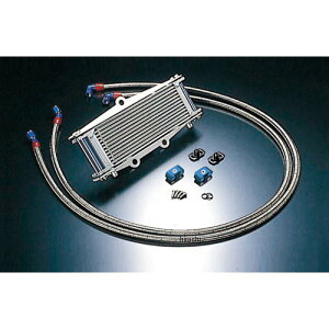 ACTIVE �A�N�e�B�u �I�C���N�[���[�L�b�g �T�[���Ή� �T�C�h��/�X�g���[�g #6 9-13R �[�t�@�[750�AZR-7 �V���o�[ AC14077813C JP�X