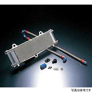 ACTIVE ANeBu ICN[[Lbg T[Ή Xg[g #6 12-13R [t@[1100A[t@[1100RS Vo[ AC14058413C JPX