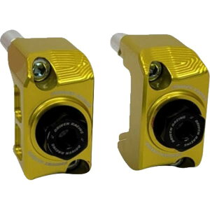 �yUSA�݌ɂ���z �h���u�����[�V���O Driven Racing Captive �A�N�X���u���b�N 23�N Ninja ZX-4RR �S�[���h 1231-1694 JP�X