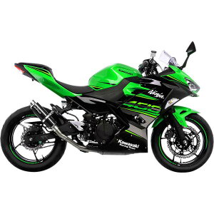�yUSA�݌ɂ���z LEOVINCE GP Corsa?�X���b�v�I���}�t���[ 24�N Ninja 500 �� 1811-3535 JP�X
