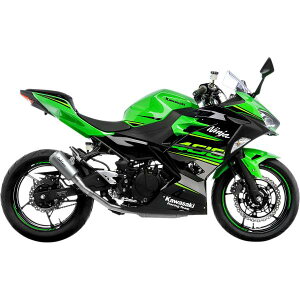 �yUSA�݌ɂ���z LEOVINCE LV-10 �X���b�v�I���}�t���[ 24�N Ninja 500 �V���o�[ 1811-3537 JP�X