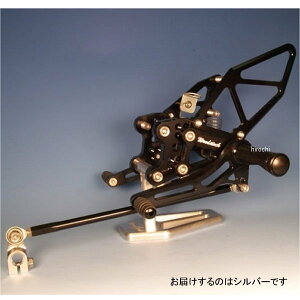 EbhXgbN WOODSTOCK obNXebvLbg 06Nȍ~ ZZR1400 ABS Vo[ WBS-K16-SL JPX