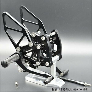 EbhXgbN WOODSTOCK obNXebvLbg Z1000ANinja1000 ABS Vo[ WBS-K31-SL JPX