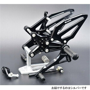 EbhXgbN WOODSTOCK obNXebvLbg 21Nȍ~ ZX-10RAZX-10RR Vo[ WBS-K43-SL JPX