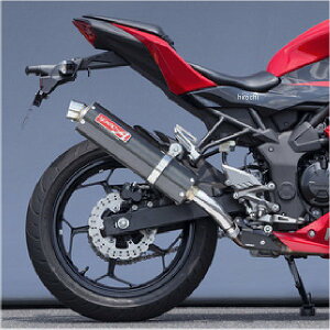 }g[VO SPEC-A XbvI}t[ CF 15N- Ninja250SL 40254-01NCB JPX