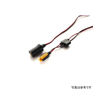�yUSA�݌ɂ���z CTEK Accessory - Comfort Connect Cig Socket ctek56-573 JP�X
