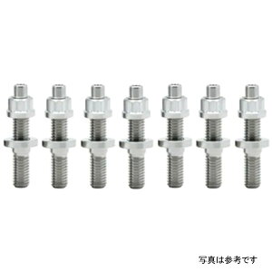 yUSA݌ɂz BLOX Racing SUS303 XeXX`[ Exhaust Manifold Stud Kit M8 x 1.25mm 45mm in Length - 7-piece bloBXFL-00307-7 JPX