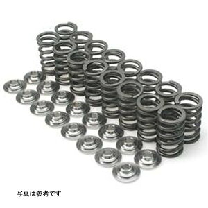 �yUSA�݌ɂ���z Brian Crower �X�o�� EJ205-WRX/EJ257-STi Single Valve Springs brcBC1600 JP�X