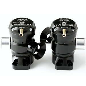 yUSA݌ɂz GFB HYBRID TMS Dual Port 2017+ Kia Stinger 3.3T V6 (2 ous Included) gfbT9212 JPX