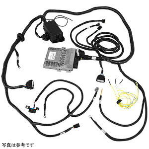 �yUSA�݌ɂ���z Ford Racing Control Pack - 2015�N Coyote 5.0L 4V TI-VCT Manual �g�����X�~�b�V���� frpM-6017-504V JP�X