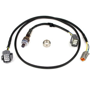 �yUSA�݌ɂ���z Haltech NTK Wideband Hardware Pack halHT-010747 JP�X