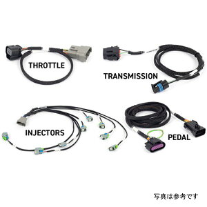 �yUSA�݌ɂ���z Haltech NEXUS Rebel LS �L�b�g (Suits Gen IV) 6-Pin DBW Throttle/EV6 �C���W�F�N�^�[/Manual Transmission halHT-220204 JP�X