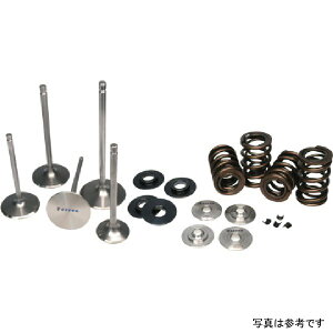 yUSA݌ɂz Ferrea fAXvOLbg Y GT-R VR38DETT ferKT4015 JPX