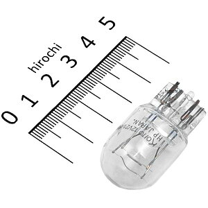 �������쏊 ���M�n�C�p���[�o���u T20 12V21/5W �E�F�b�W 1���� P8812 JP�X