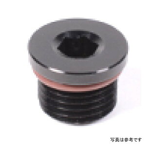 �yUSA�݌ɂ���z Radium Engineering �t�B�b�e�C���O 2AN ORB Plug rad14-0427 JP�X