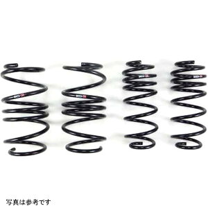 yUSA݌ɂz RS-R 2017-2022 z_ VrbN ^CvR (FK8) Super Down Sus Springs rsrH059S JPX