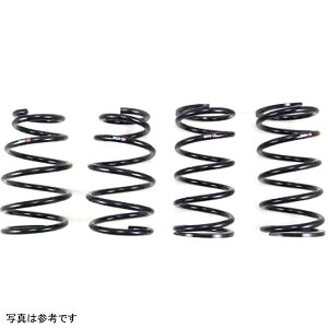 yUSA݌ɂz RS-R 16+ NTX GS350 F Sport RWD (GRL12) Down Sus Springs rsrT172D JPX