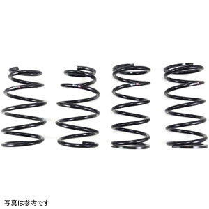 yUSA݌ɂz RS-R 2019 NTX ES350 F-Sports Down Sus Springs rsrT183D JPX