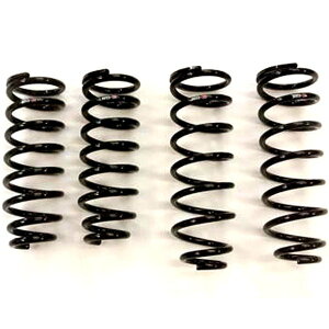 �yUSA�݌ɂ���z RS-R 01-06 ���N�T�X LS430 (UCF30/31) Down Sus Springs rsrT284D JP�X