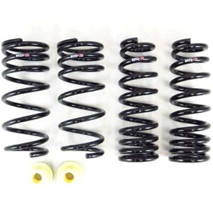 yUSA݌ɂz RS-R 2022 NTX IS350 F Sport AWD Super Down Sus Springs rsrT595S JPX