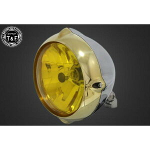 �K���[�WT&F 5.75in �r���e�[�W�w�b�h���C�g(�^�J/�|���b�V��)���[�������Y(�C�G���[)+�X�e�[A DS250 4021383 JP�X