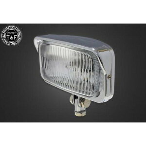 �K���[�WT&F �r���e�[�W�X�N�G�A�w�b�h���C�g(���b�L)�N���A�[�����Y+�X�e�[A DS250 4023310 JP�X