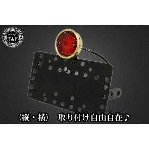 �K���[�WT&F �T�C�h�i���o�[�L�b�g&�h�����h�A�C�e�[�������v(�^�J)+�X�e�[ TW200/225 SN0057 JP�X