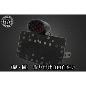 �K���[�WT&F �T�C�h�i���o�[�L�b�g&�~�f�B�A���L���b�c�A�C�e�[�������v(���b�V��)�u���b�N+�X�e�[ �C���g���[�_�[LC250 SN03624 JP�X