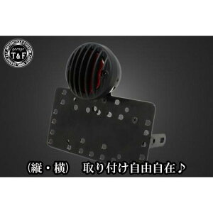 K[WT&F TChio[Lbg&o[hQ[We[v([W^Cv)ubN+Xe[ hbOX^[1100/1100NVbN SN0253 JPX