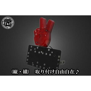 K[WT&F TChio[Lbg&hfJs[Xe[v+Xe[ FTR223 SN02715 JPX