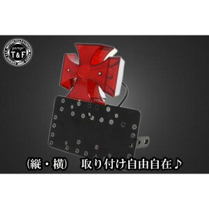 �K���[�WT&F �T�C�h�i���o�[�L�b�g&�h�f�J�N���X�e�[�������v+�X�e�[ TW200/225 SN0287 JP�X
