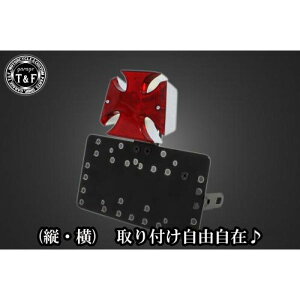 �K���[�WT&F �T�C�h�i���o�[�L�b�g&�N���X�e�[�������v+�X�e�[ �C���g���[�_�[LC250 SN02924 JP�X
