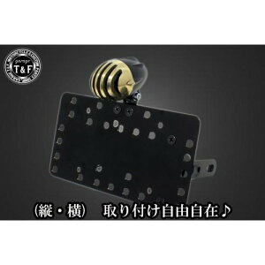 ガレージT&F サイドナンバーキット&アンティークバードゲージテールランプ(真鍮)+ステー TW200/225 SN0647 JP店
