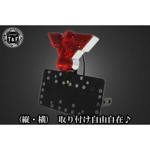 �K���[�WT&F �T�C�h�i���o�[�L�b�g&�C�[�O���E�B���O�e�[�������v+�X�e�[ �C���g���[�_�[LC250 SN05224 JP�X