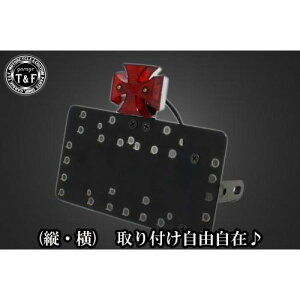 �K���[�WT&F �T�C�h�i���o�[�L�b�g&�~�j�N���X�e�[�������v+�X�e�[ �C���g���[�_�[LC250 SN01124 JP�X