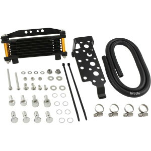 �V�t�g�A�b�v �I�C���N�[���[ �t���[���}�E���g �G�C�v50�A�G�C�v100�AXR50�AXR100 �S�[���h�p�C�v 201142-64 JP�X