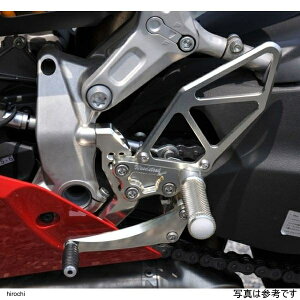 EbhXgbN DUCATI 1199Panigale obNXebvLbg I[Vo[ WBS-D03-SL JPX