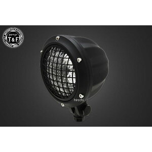 �K���[�WT&F 4.5�C���`�O�����V�g���X�w�b�h���C�g(�}�b�g�u���b�N)�N���A�[�����Y 250TR 4024282 JP�X