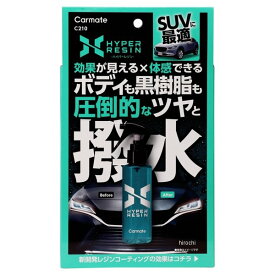 【メーカー在庫あり】 C210 カーメイト ハイパーレジン クロス付き 135g 4973007254522 JP店