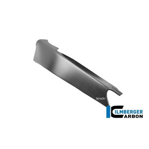 Co[K[ Ilmberger t[eCtFAO  J[{}bg hDJeB Streetfighter V4S 25 CM.RHL.022.V4P24-S JPX