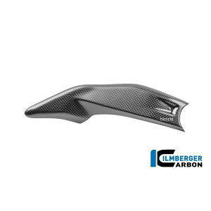 Co[K[ Ilmberger At[tFAO E J[{}bg hDJeB Streetfighter V4S 25 CM.RHR.023.V4P24-S JPX